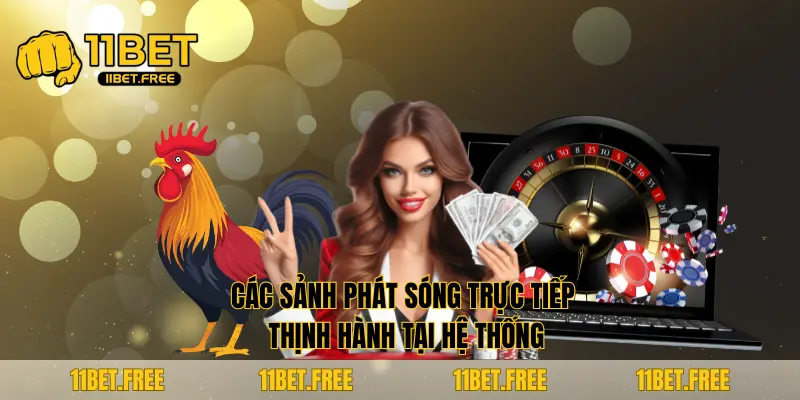 Các sảnh phát sóng trực tiếp thịnh hành tại hệ thống