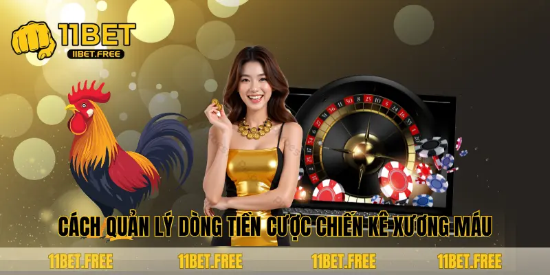 cách quản lý dòng tiền cược chiến kê xương máu