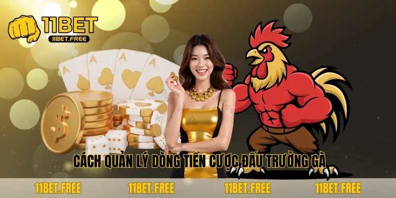 Cách quản lý dòng tiền cược đấu trường gà