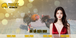 ảnh đại diện đá gà cựa dao