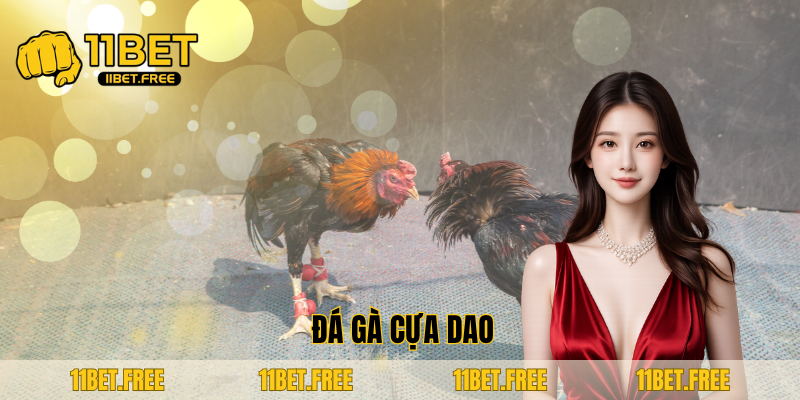 ảnh đại diện đá gà cựa dao