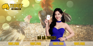 ảnh đại diện đá gà thomo