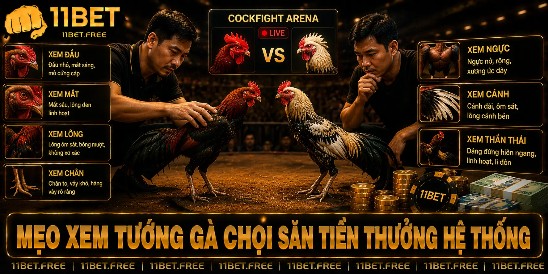 Mẹo xem tướng gà chọi săn tiền thưởng hệ thống